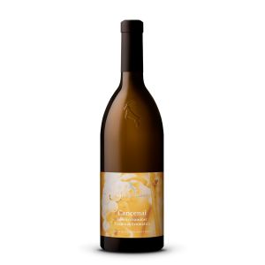 Gewürztraminer Cancenai Alto Adige Doc 2025 – Rottensteiner