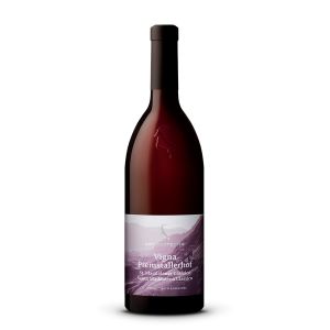 Südtirol St. Magdalener Classico DOC Vigna Premstallerhof 2025 – Rottensteiner