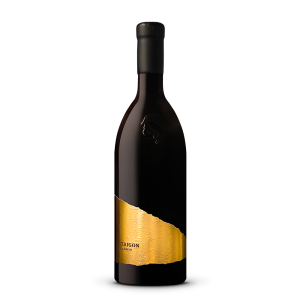 Trigon Lagrein Gries Riserva Alto Adige Doc – Rottensteiner
